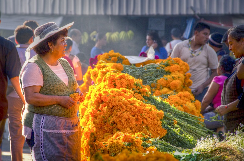 Mercado Jamaica - Habibi World Travel & Tour